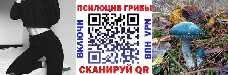 Галлюциногенные грибы Cubensis  Купить закладки  Белокуриха 